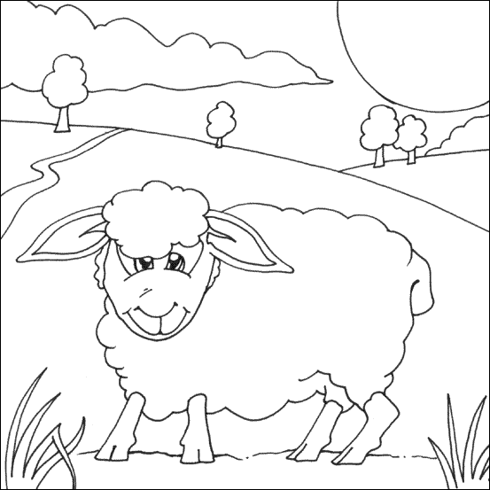 Sheep Coloring Pages