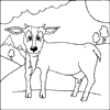 Goat coloring pages