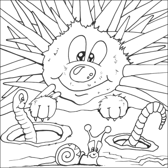 Hedgehog Colouring Printable