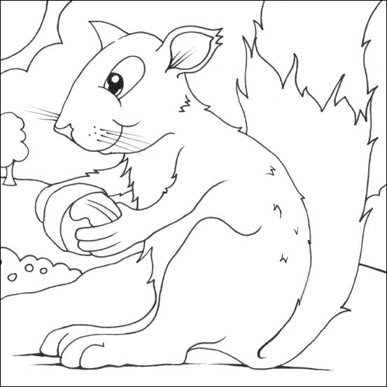 Pictures For Colouring. squirrel Colouring