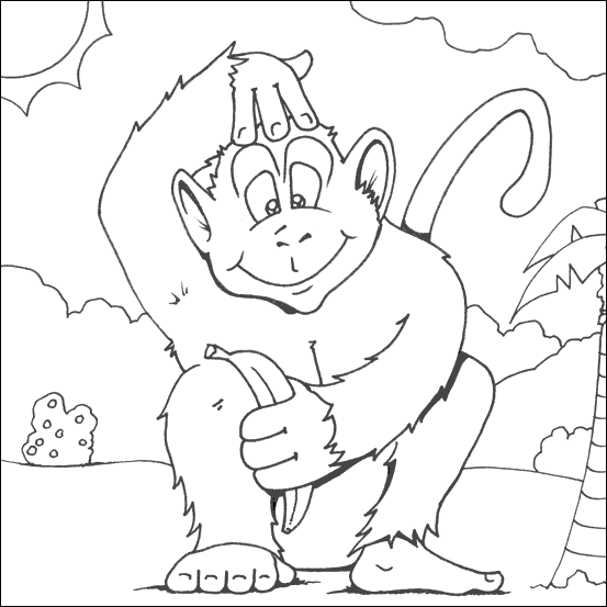 Monkey Colouring