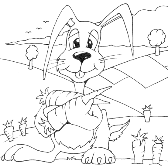 Rabbit coloring pages