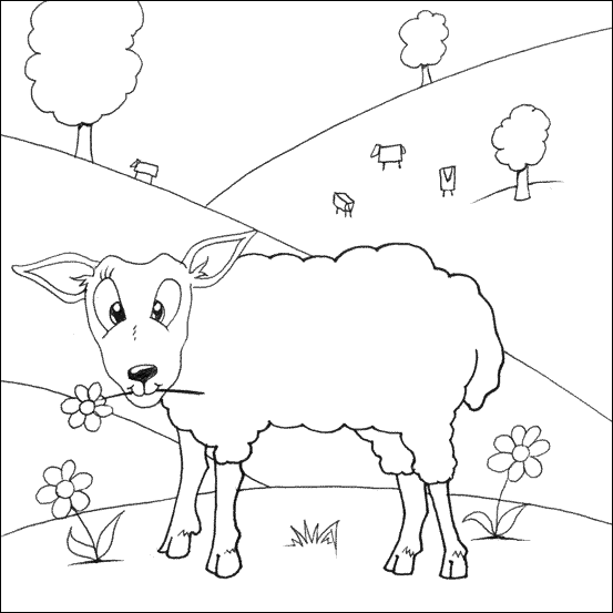 Sheep Coloring Pages