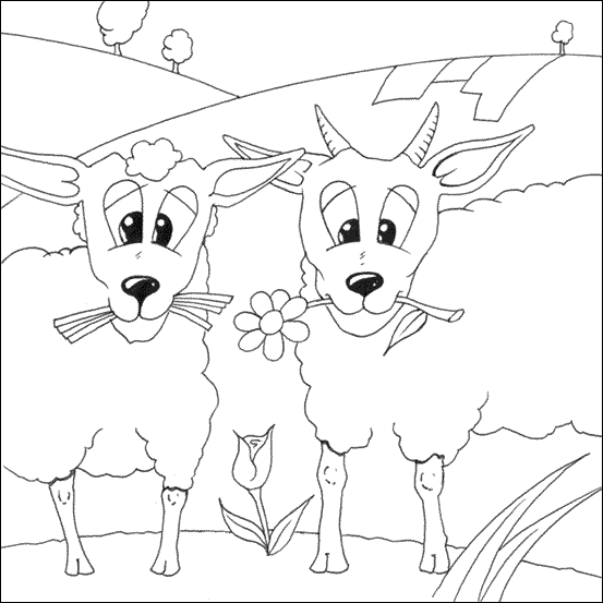 Sheep Coloring Pages