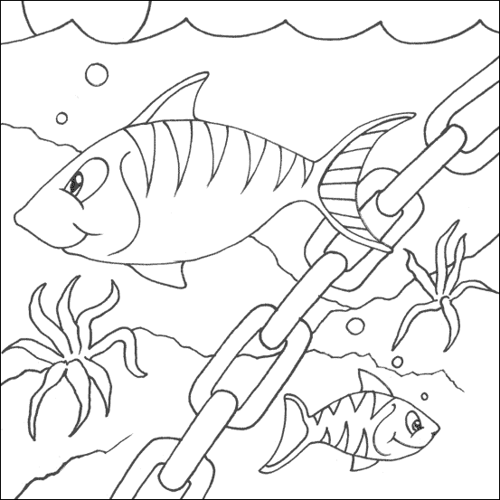 Fish coloring pages