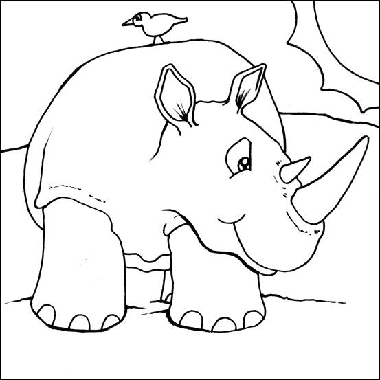 pictures of zoo animals to colour in. of Animals to colour in.
