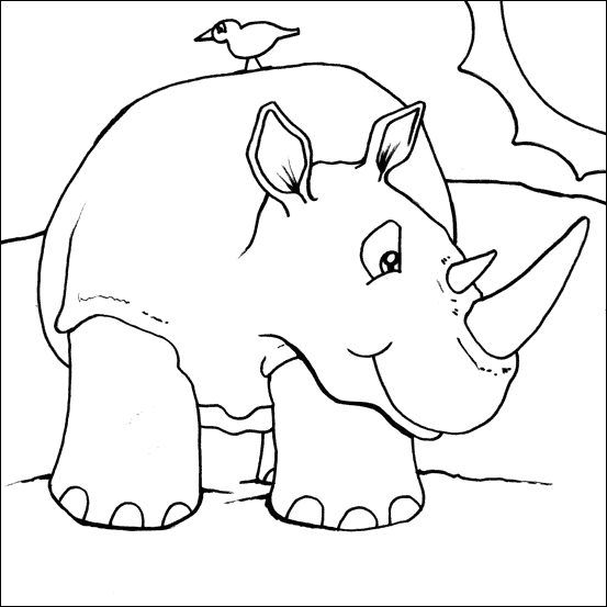 Rhino Colouring