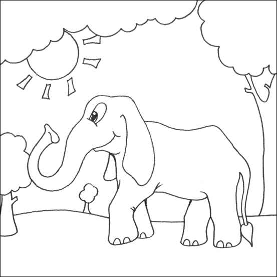 Elephant coloring pages