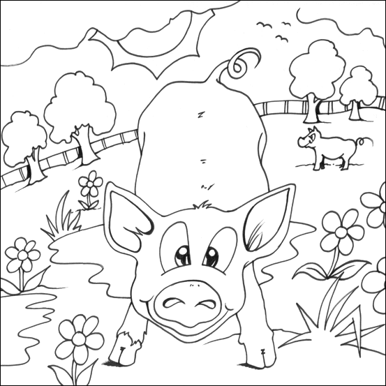 Colouring Pig Picture Colouring Pig Picture