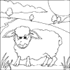 Cute Sheep Colouring