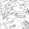 Duck Colouring pictures