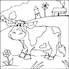 Cow in a field