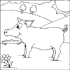 Pig Eating Food
