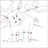 Pig Colouring pictures