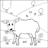 Happy Sheep