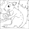 squirrel Colouring
