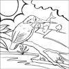 Kingfisher Colouring