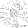 Long Tailed Tit Colouring