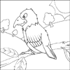 Parrot Colouring