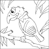 Parrot Colouring