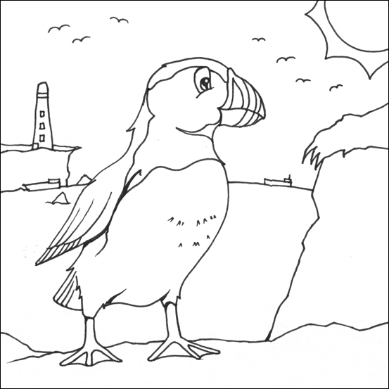 Puffin Colouring Puffin Colouring