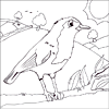 Robin Colouring