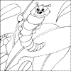Cute Caterpillar