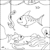 Sea Fish Colouring