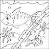 Striped Fish
