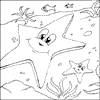 Starfish Colouring