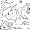 Exotic Fish Colouring