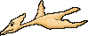 flying bird
