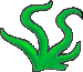 seaweed
