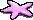 small starfish