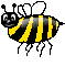 bee