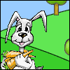 Rabbit Picture Maker