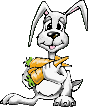 rabbit1