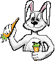 rabbit2