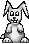 small rabbit