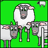 Sheep Picture Maker