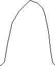 body