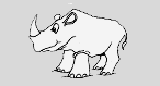 Rhino Coloring