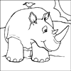 Rhino Colouring