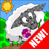 Funny Sheep