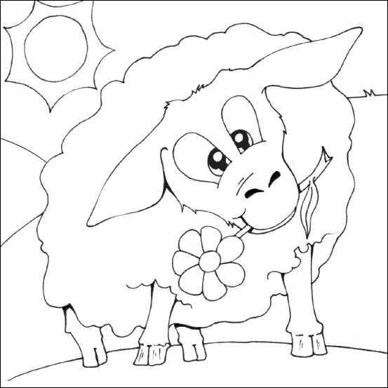 Funny sheep Funny sheep