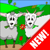 Two Sheep