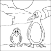 Cartoon Penguin Colouring