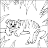 Tiger Colouring